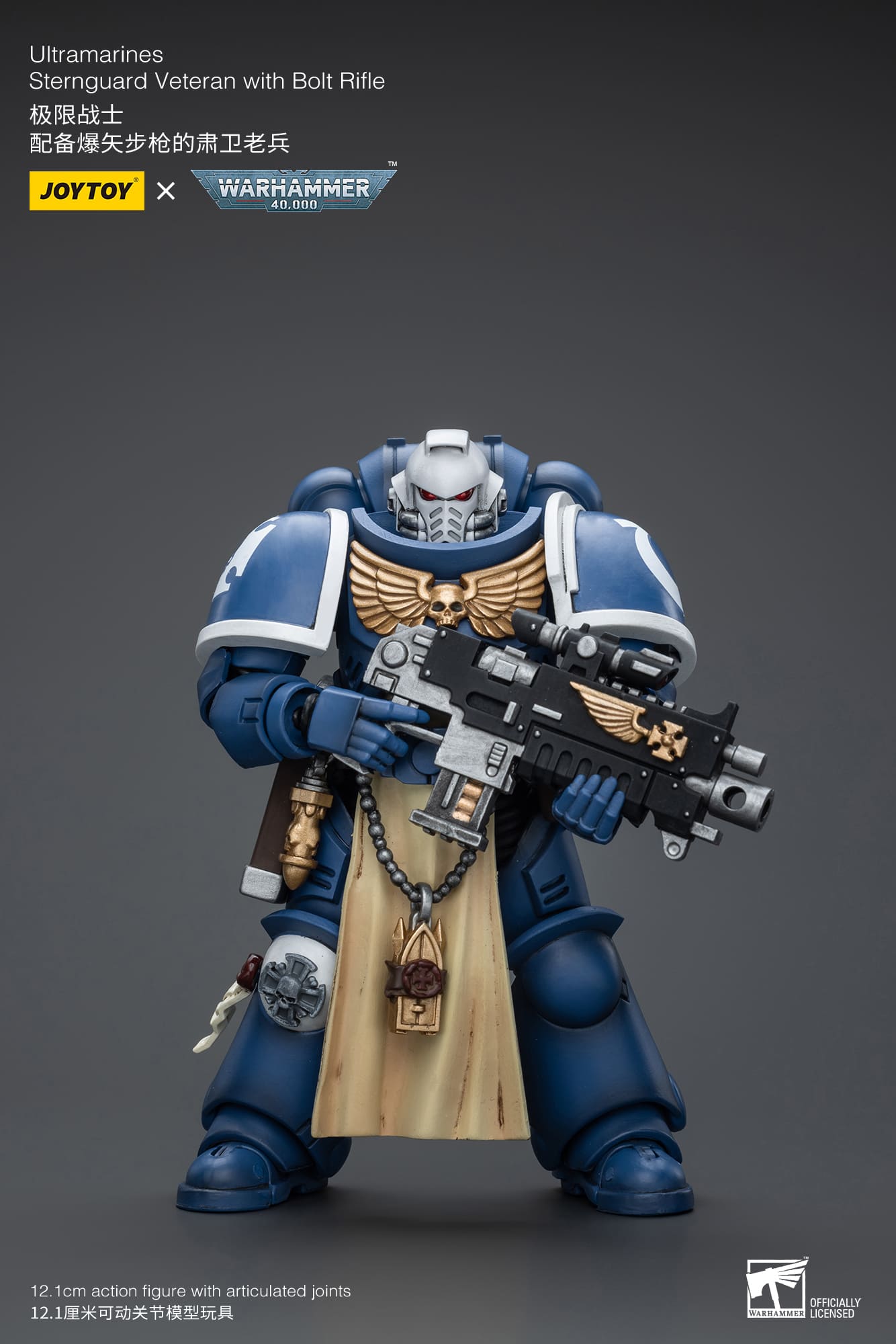 Ultramarines
Sternguard Veteran with Bolt Rifle