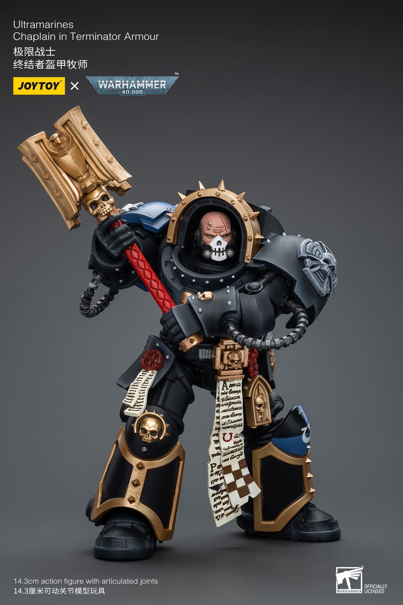 Ultramarines
Chaplain in Terminator Armour