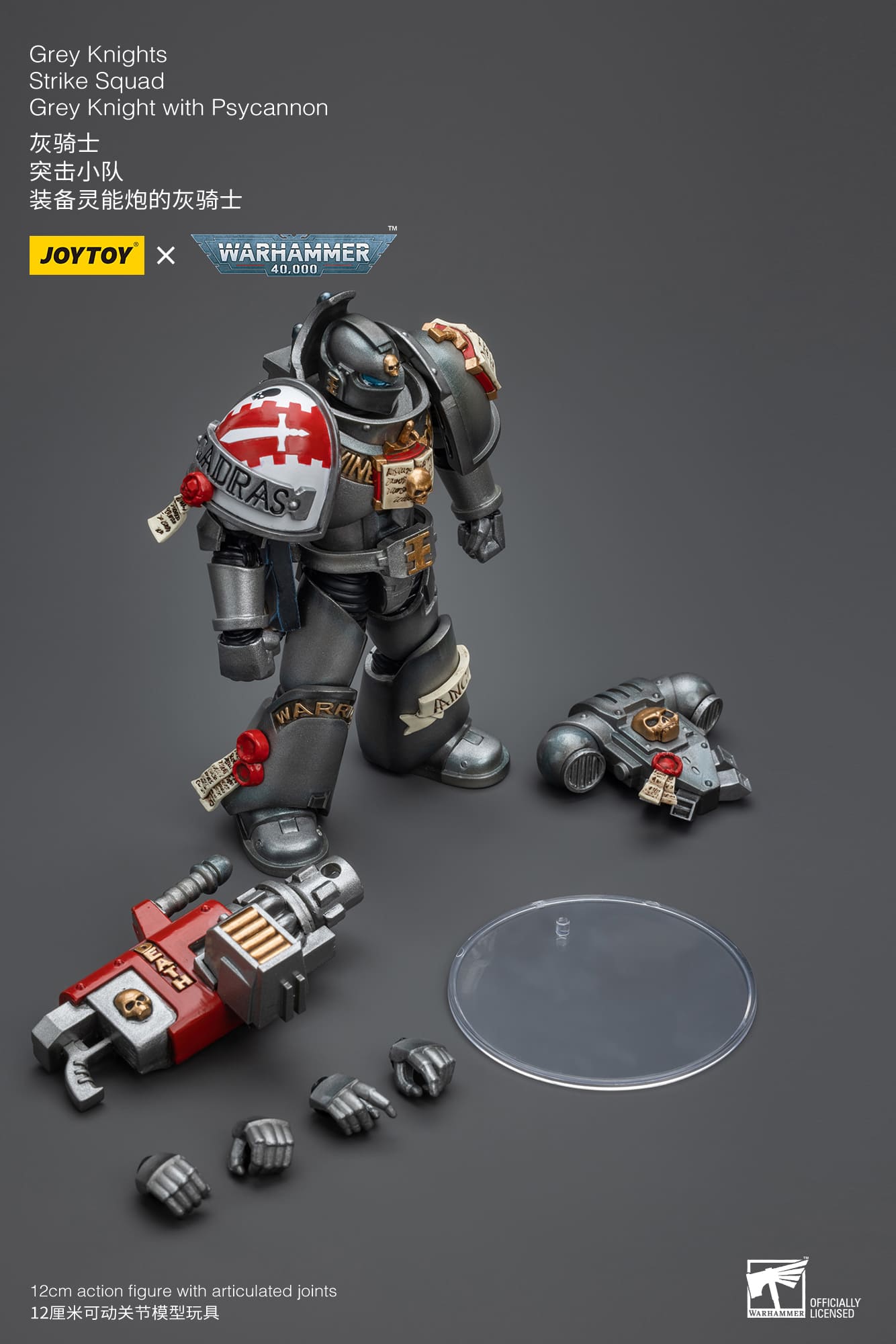 Grey Knights
Strike Squad
Grey Knight with Psycannon