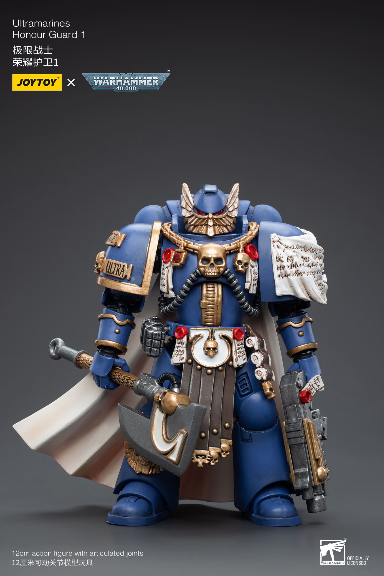 Ultramarines
Honour Guard  1