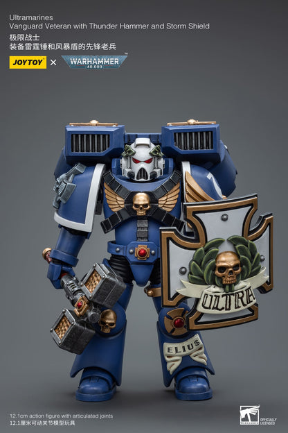 Ultramarines
Vanguard Veteran with Thunder Hammer and Storm Shield