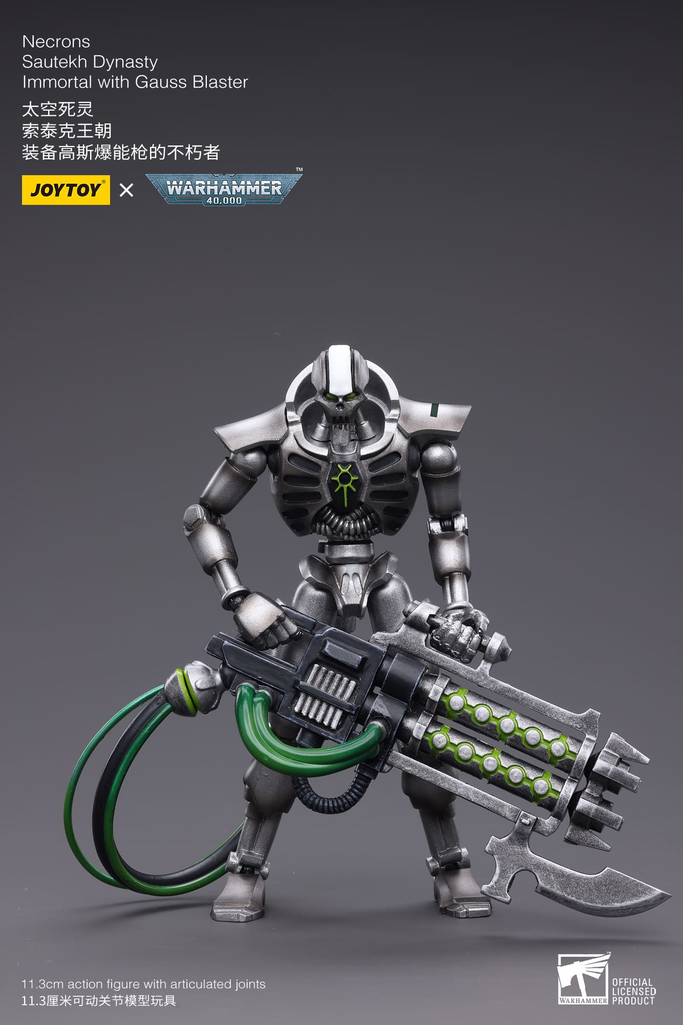 WH40K-Necrons Sautekh Dynasty
Immortal with Gauss Blaster