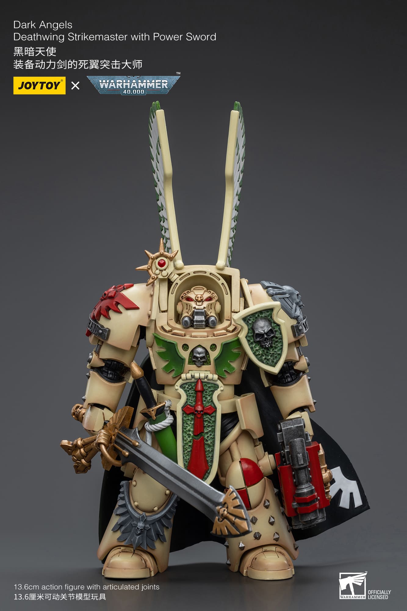 Dark Angels
Deathwing Strikemaster with Power Sword