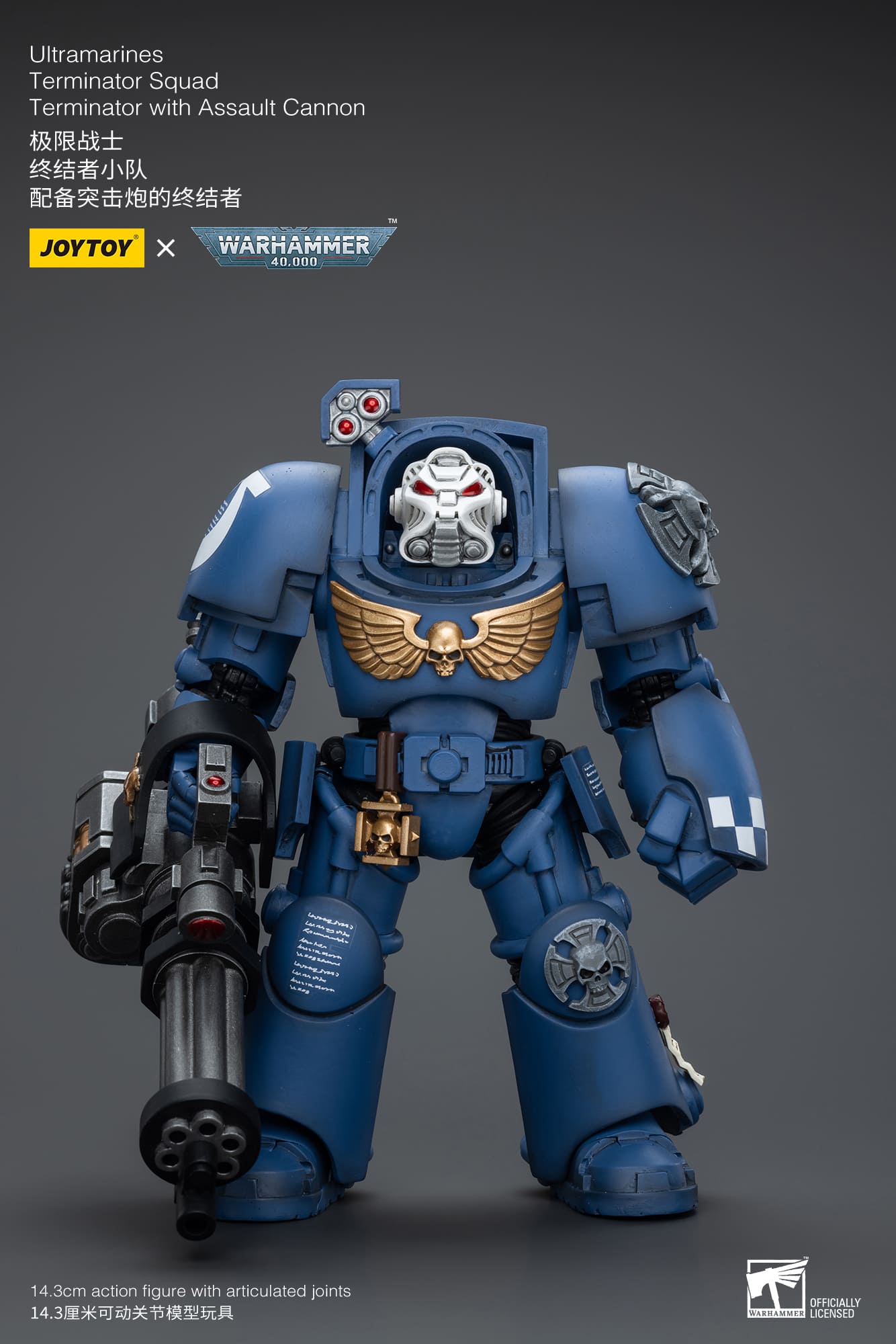 Ultramarines
Terminator Squad
Terminator with Assault Cannon