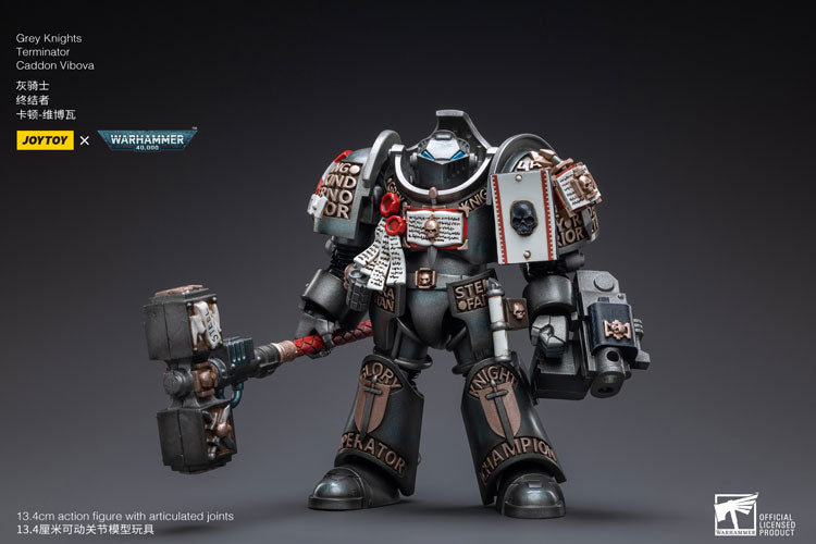 Grey Knights 
Terminator 
Caddon Vibova