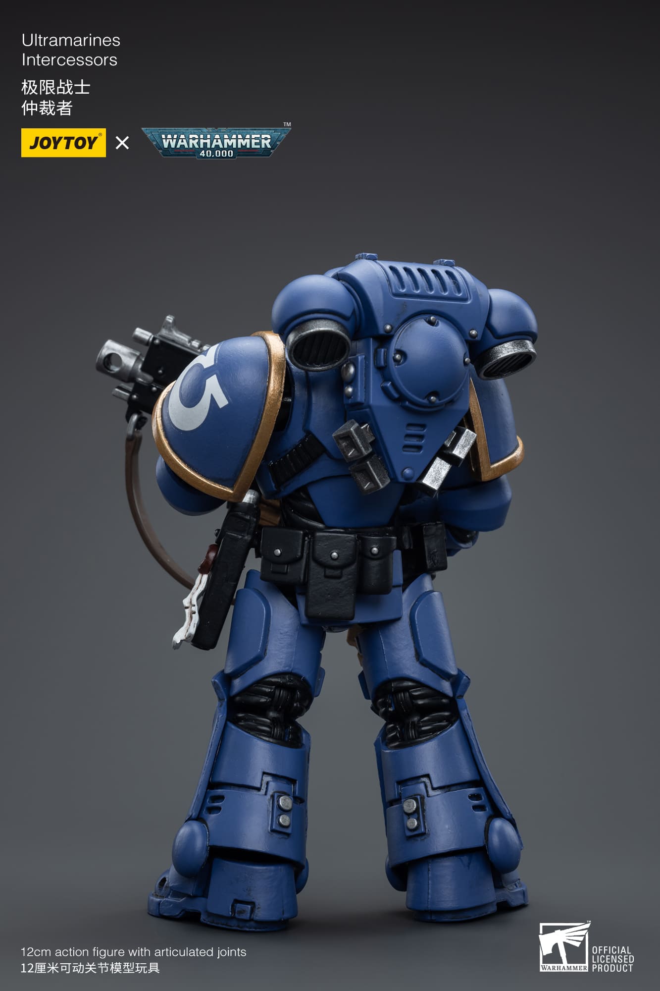 Ultramarines
Intercessors