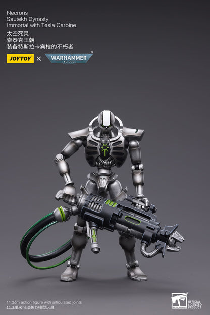 WH40K-Necrons Sautekh Dynasty
Immortal with Tesla Carbine