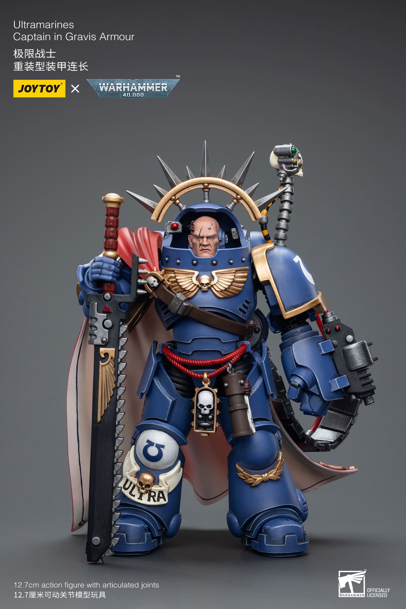 Ultramarines
Captain in Gravis Armour