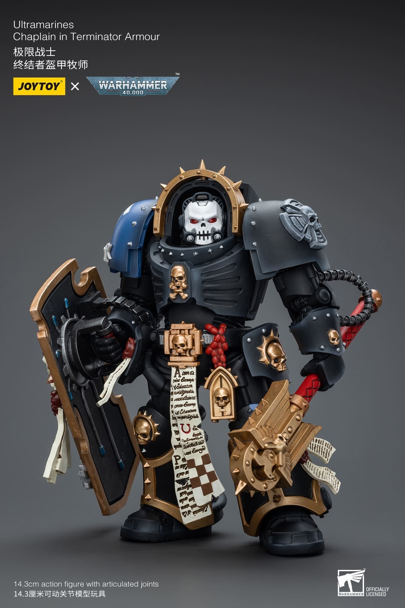 Ultramarines
Chaplain in Terminator Armour