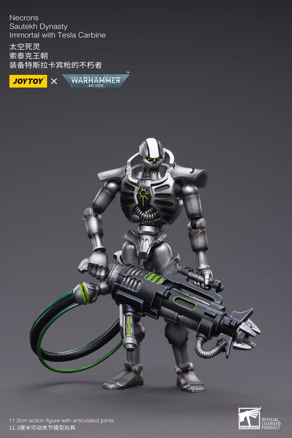 WH40K-Necrons Sautekh Dynasty
Immortal with Tesla Carbine