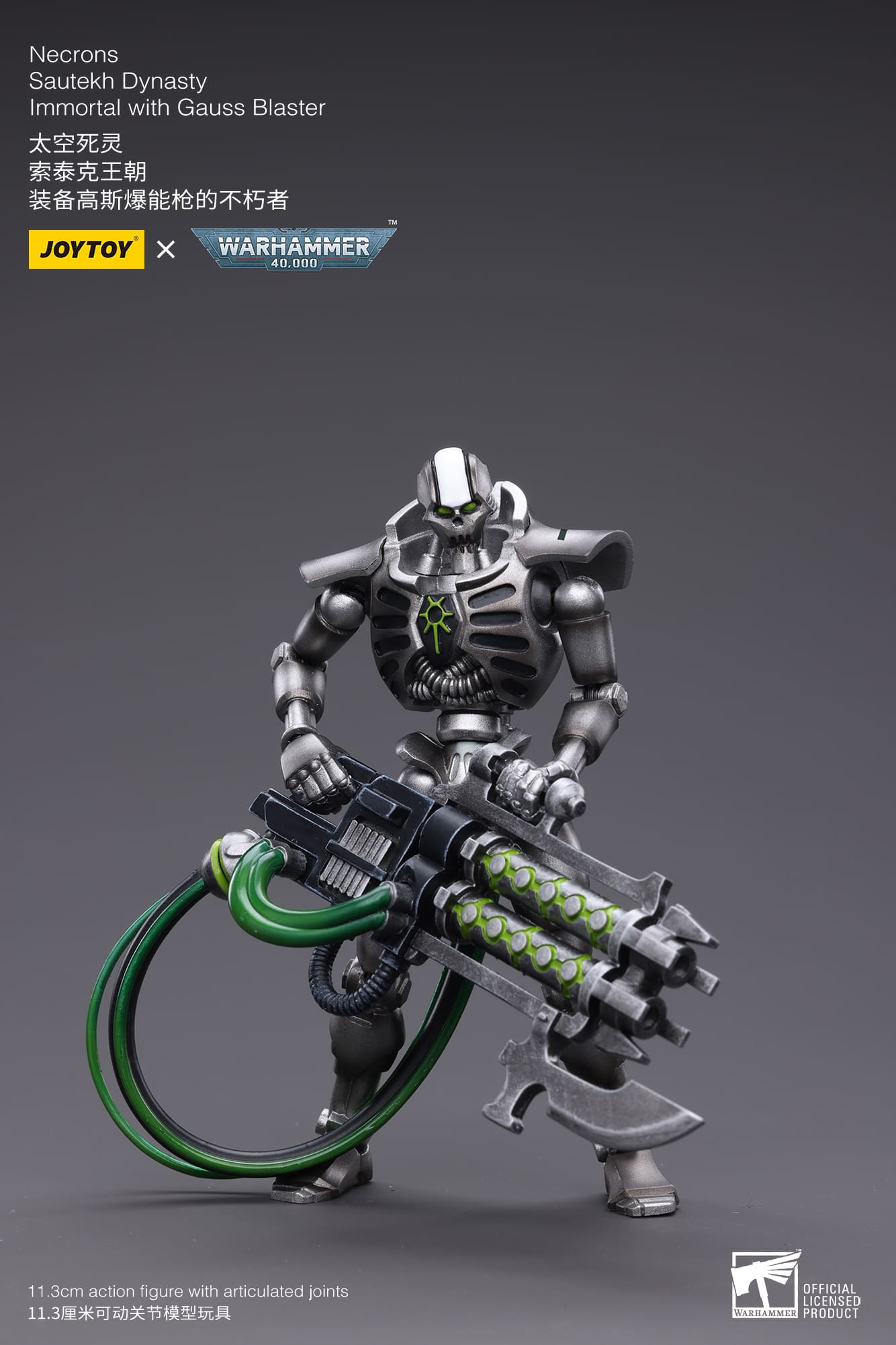 WH40K-Necrons Sautekh Dynasty
Immortal with Gauss Blaster