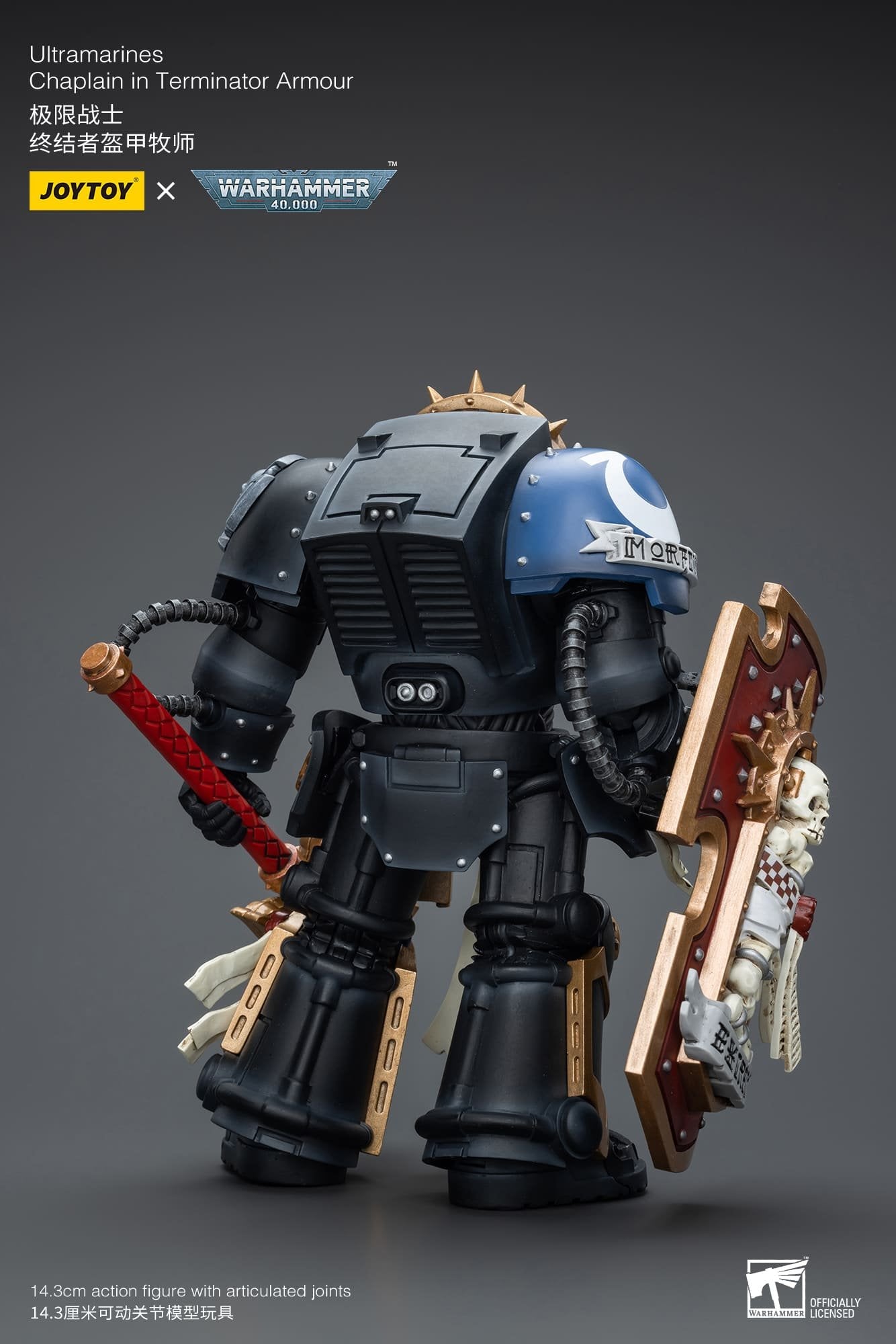 Ultramarines
Chaplain in Terminator Armour