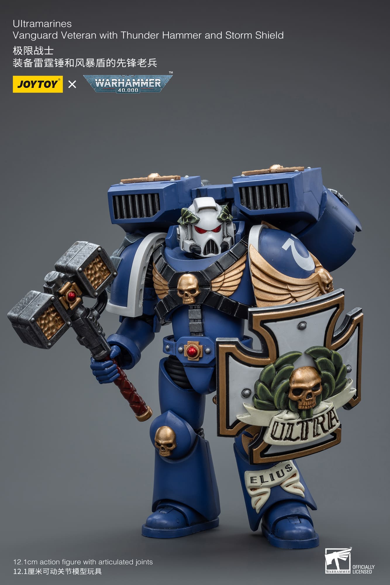 Ultramarines
Vanguard Veteran with Thunder Hammer and Storm Shield