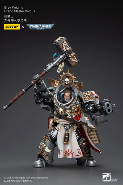 Grey Knights
Grand Master Voldus