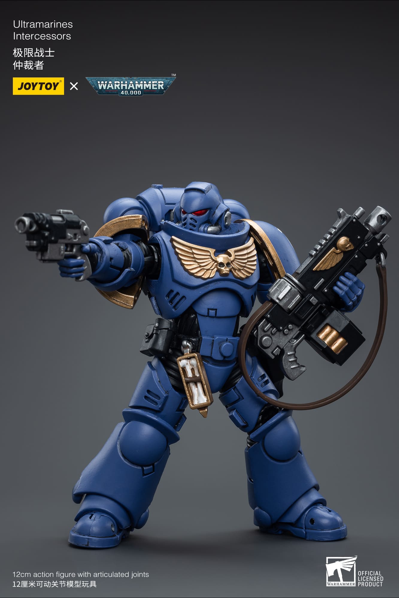 Ultramarines
Intercessors