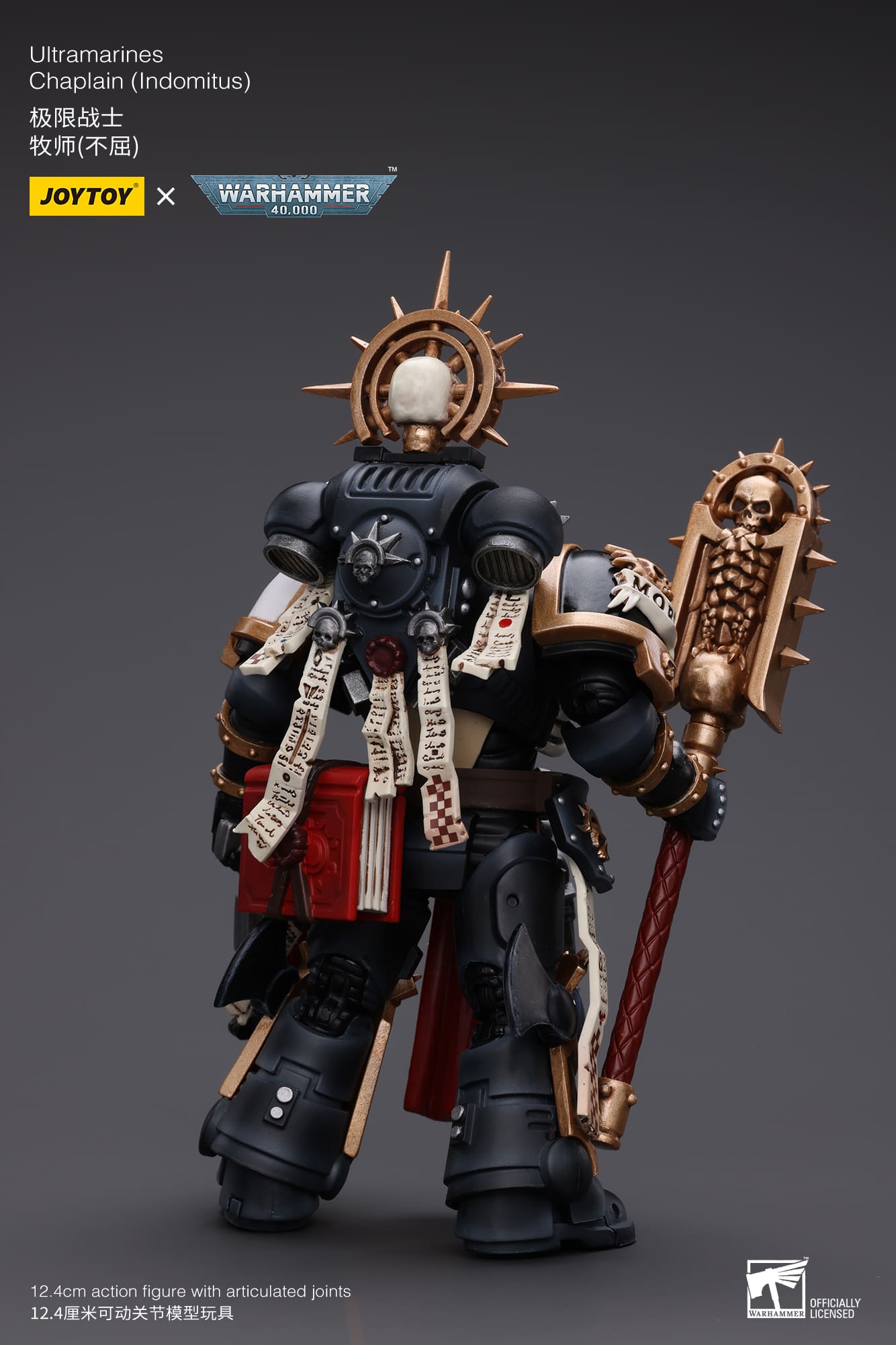 Ultramarines
Chaplain(Indomitus)