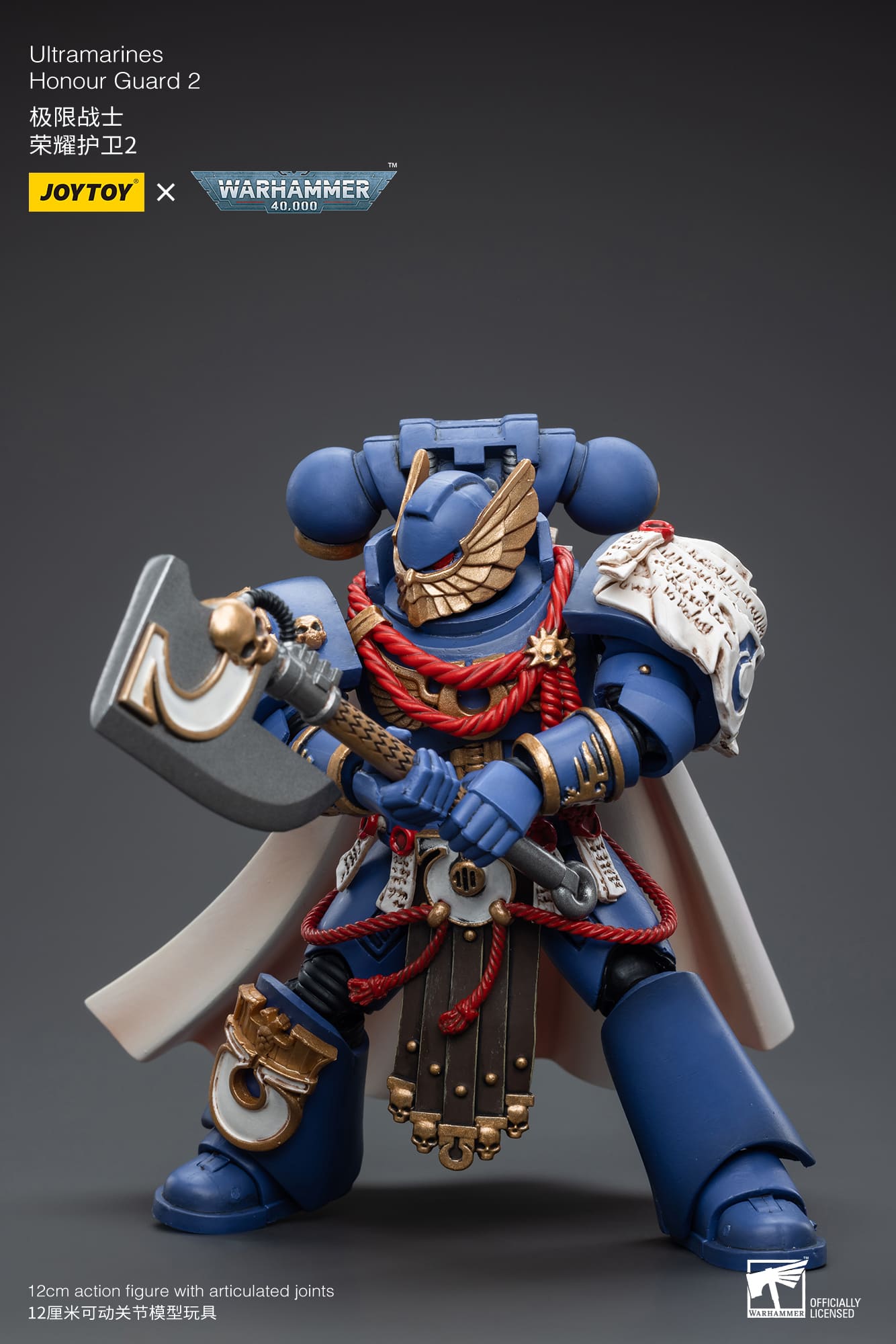 Ultramarines
Honour Guard  2