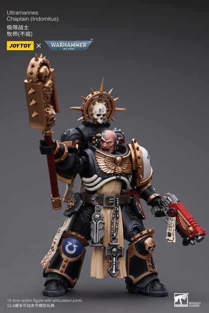 Ultramarines
Chaplain(Indomitus)