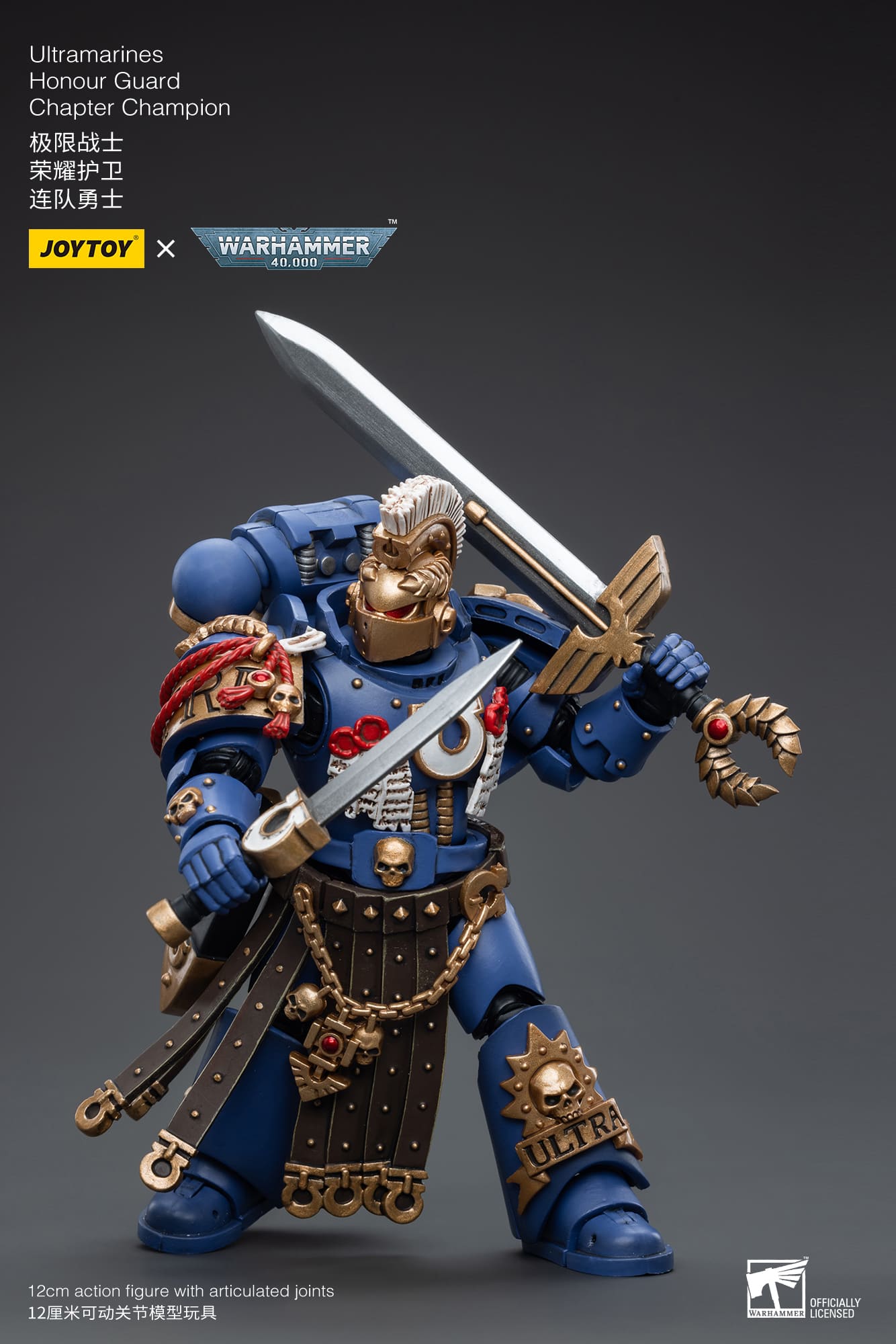 Ultramarines
Honour Guard
Chapter Champion