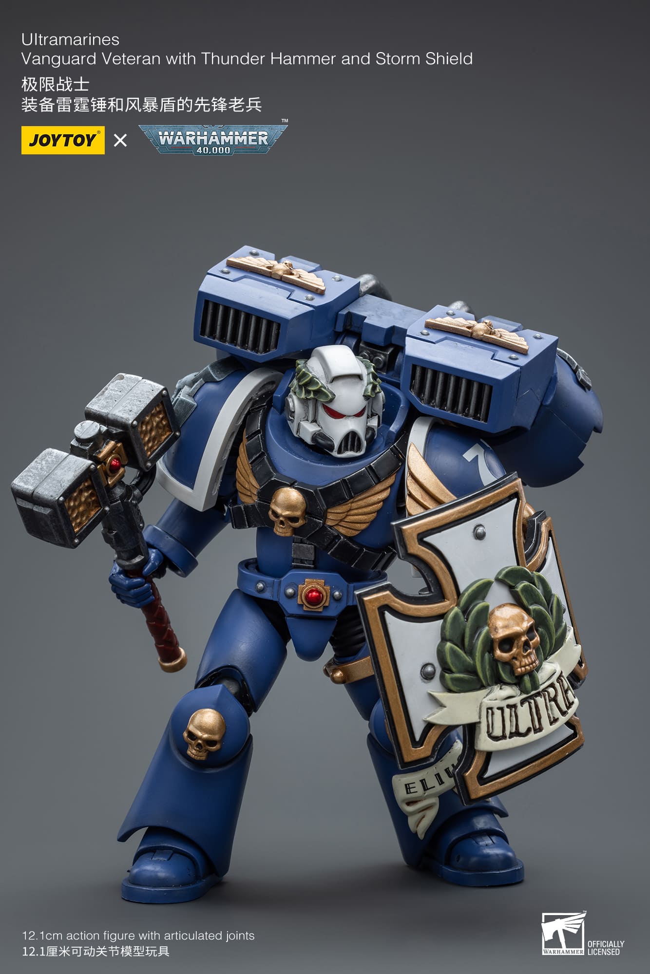 Ultramarines
Vanguard Veteran with Thunder Hammer and Storm Shield