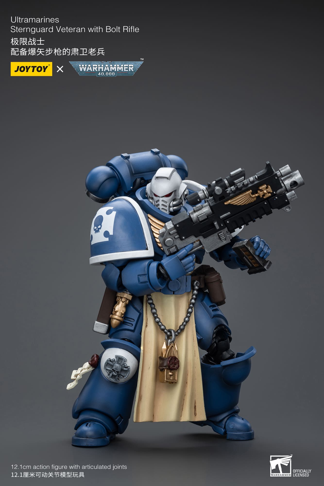 Ultramarines
Sternguard Veteran with Bolt Rifle