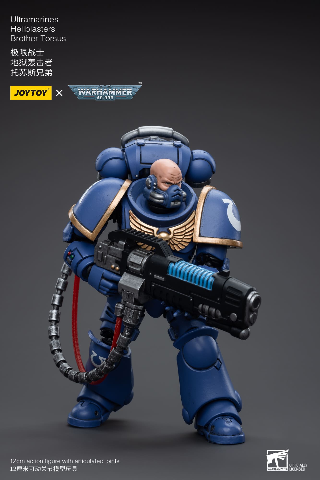 Ultramarines
Hellblasters
Brother Torsus