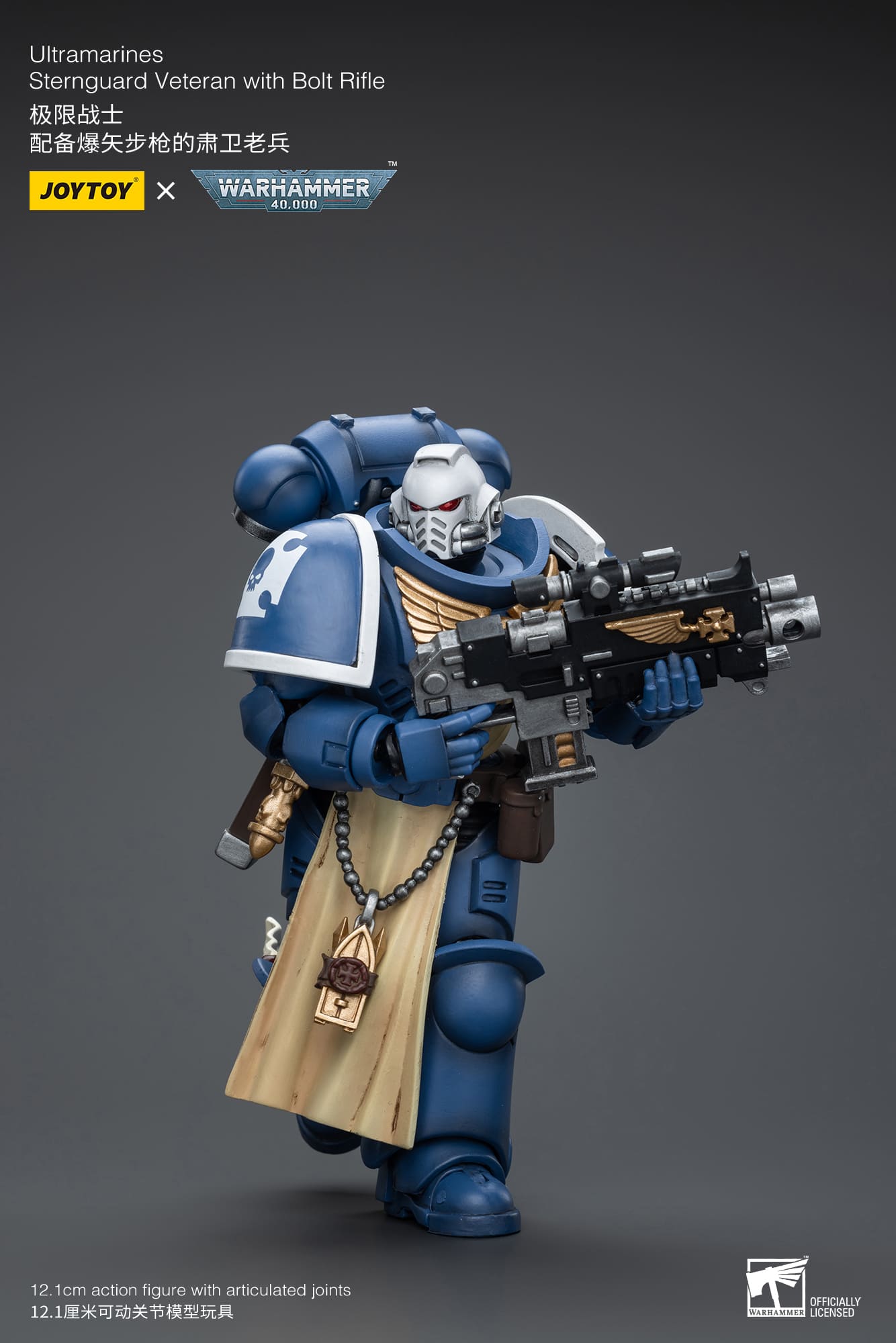 Ultramarines
Sternguard Veteran with Bolt Rifle