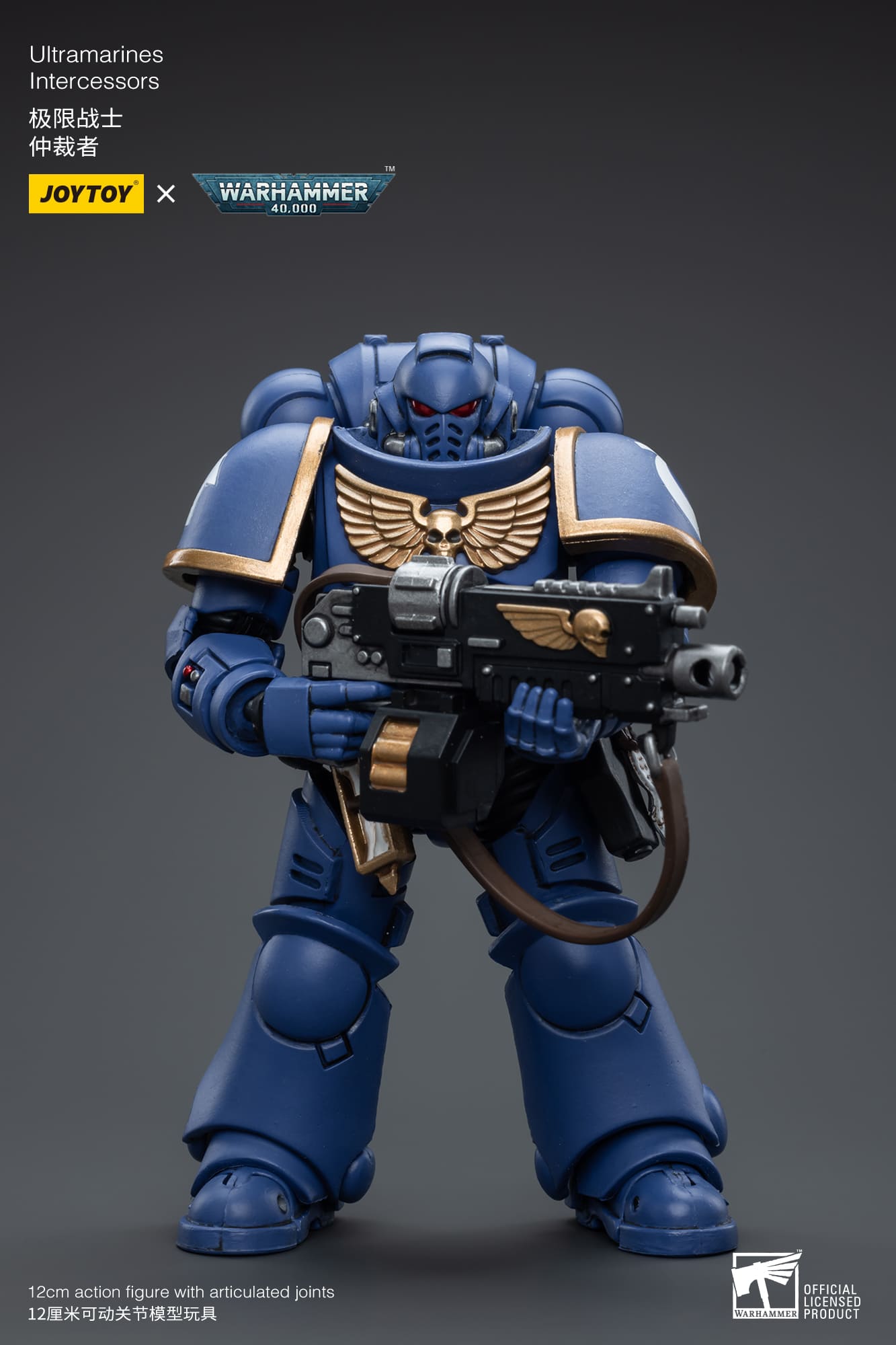 Ultramarines
Intercessors