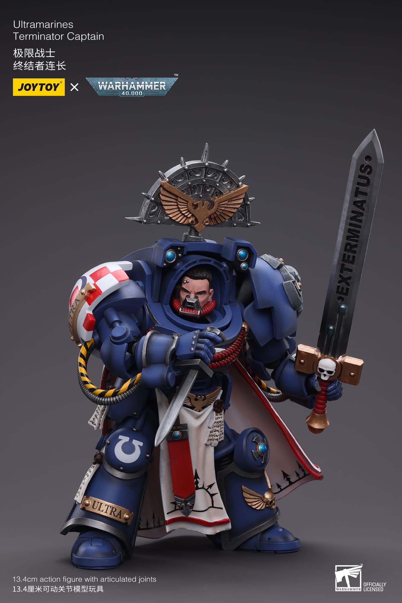 Ultramarines
Terminator Captain