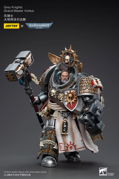 Grey Knights
Grand Master Voldus