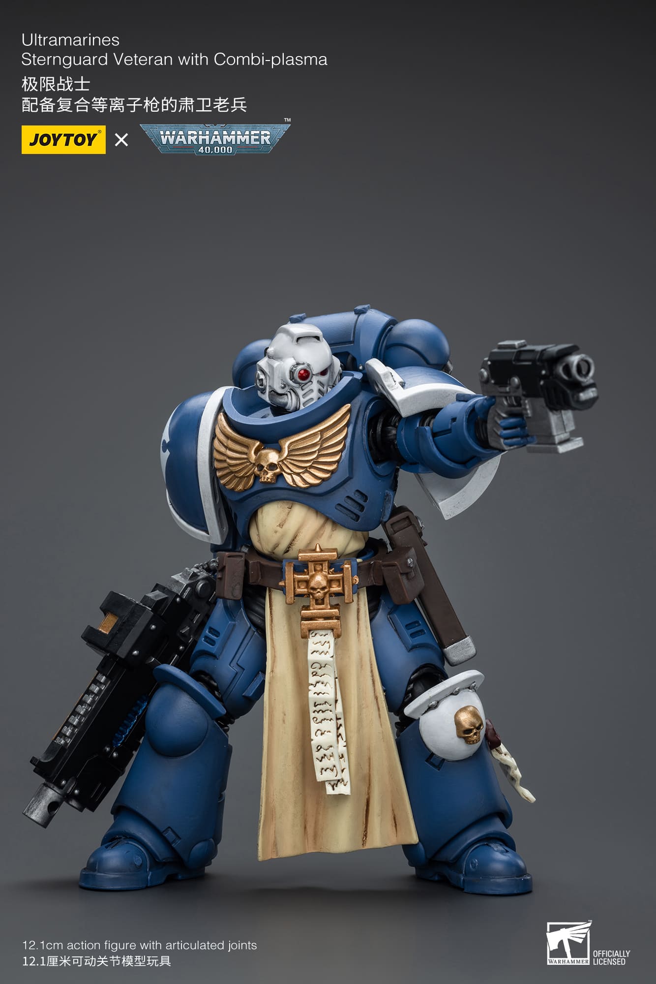 UltramarineS
Sternguard Veteran with Combi-Plasma