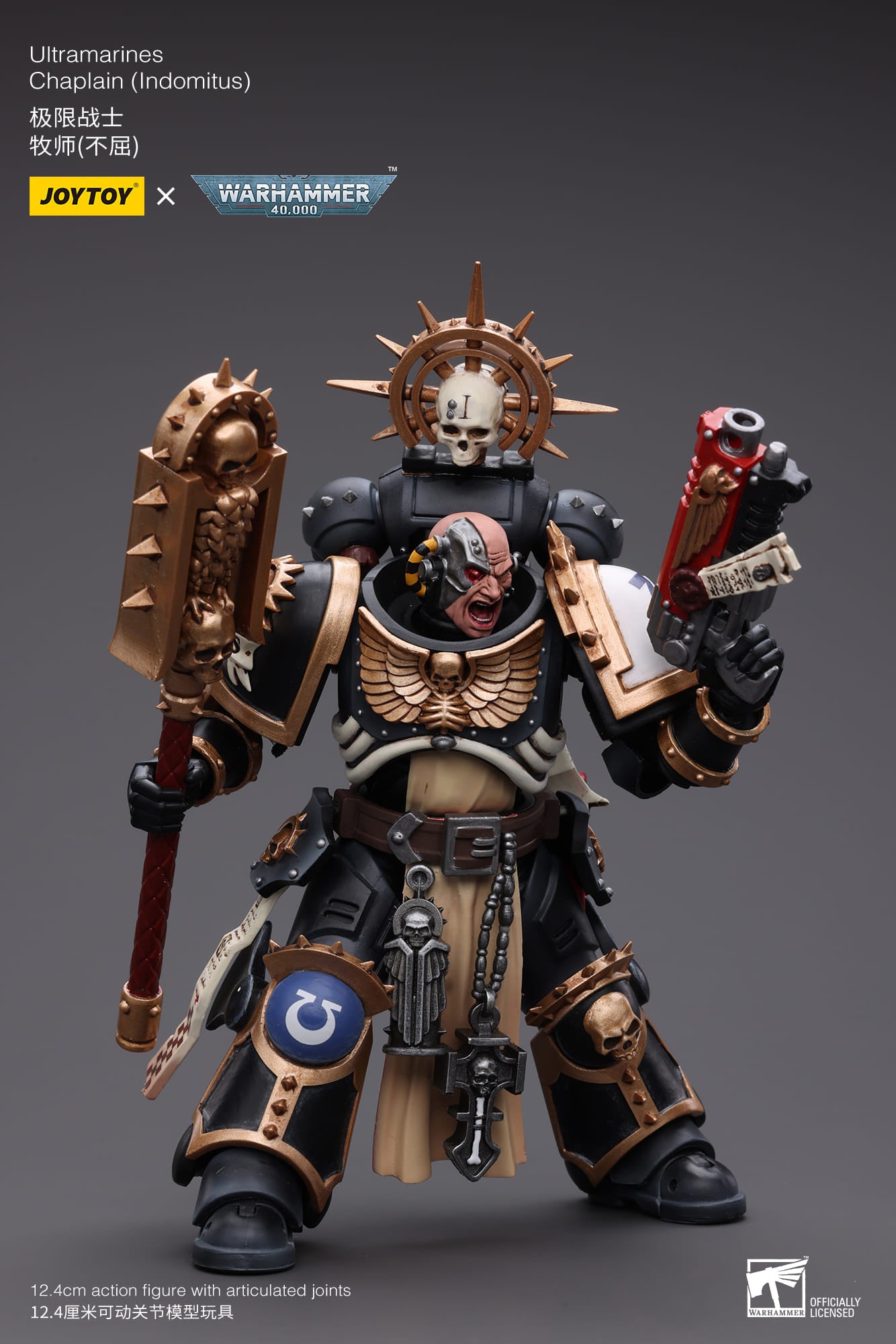 Ultramarines
Chaplain(Indomitus)