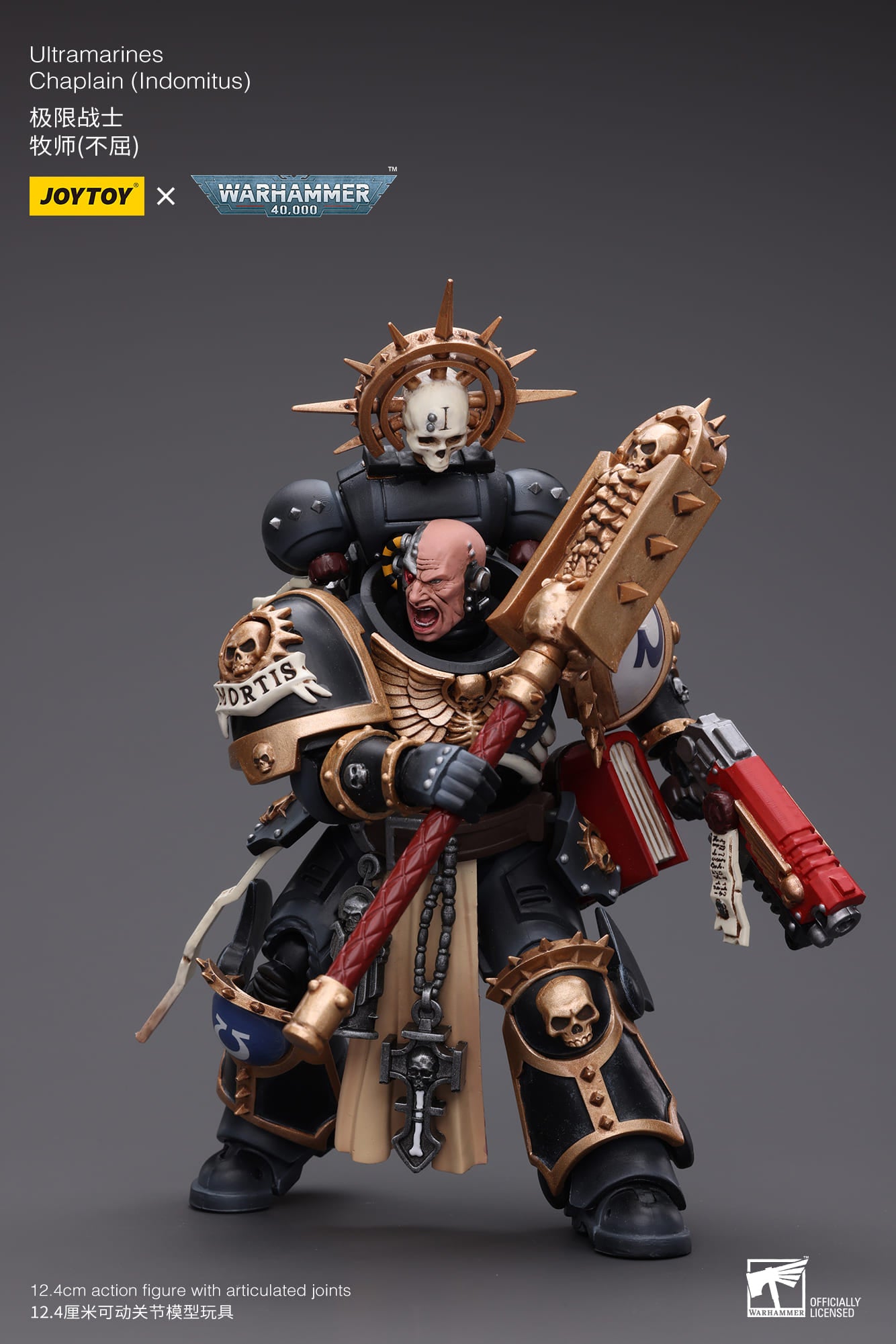 Ultramarines
Chaplain(Indomitus)