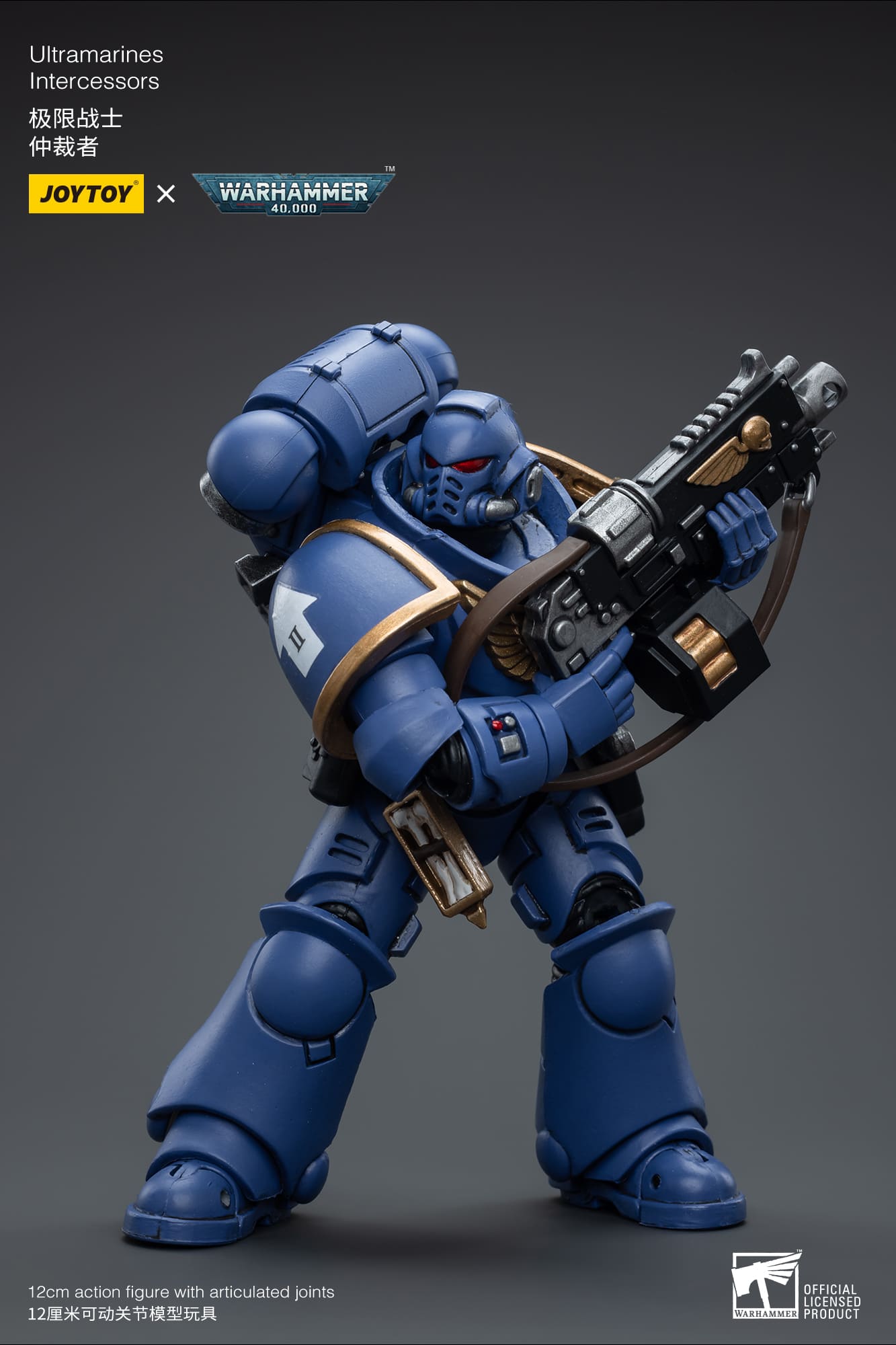 Ultramarines
Intercessors