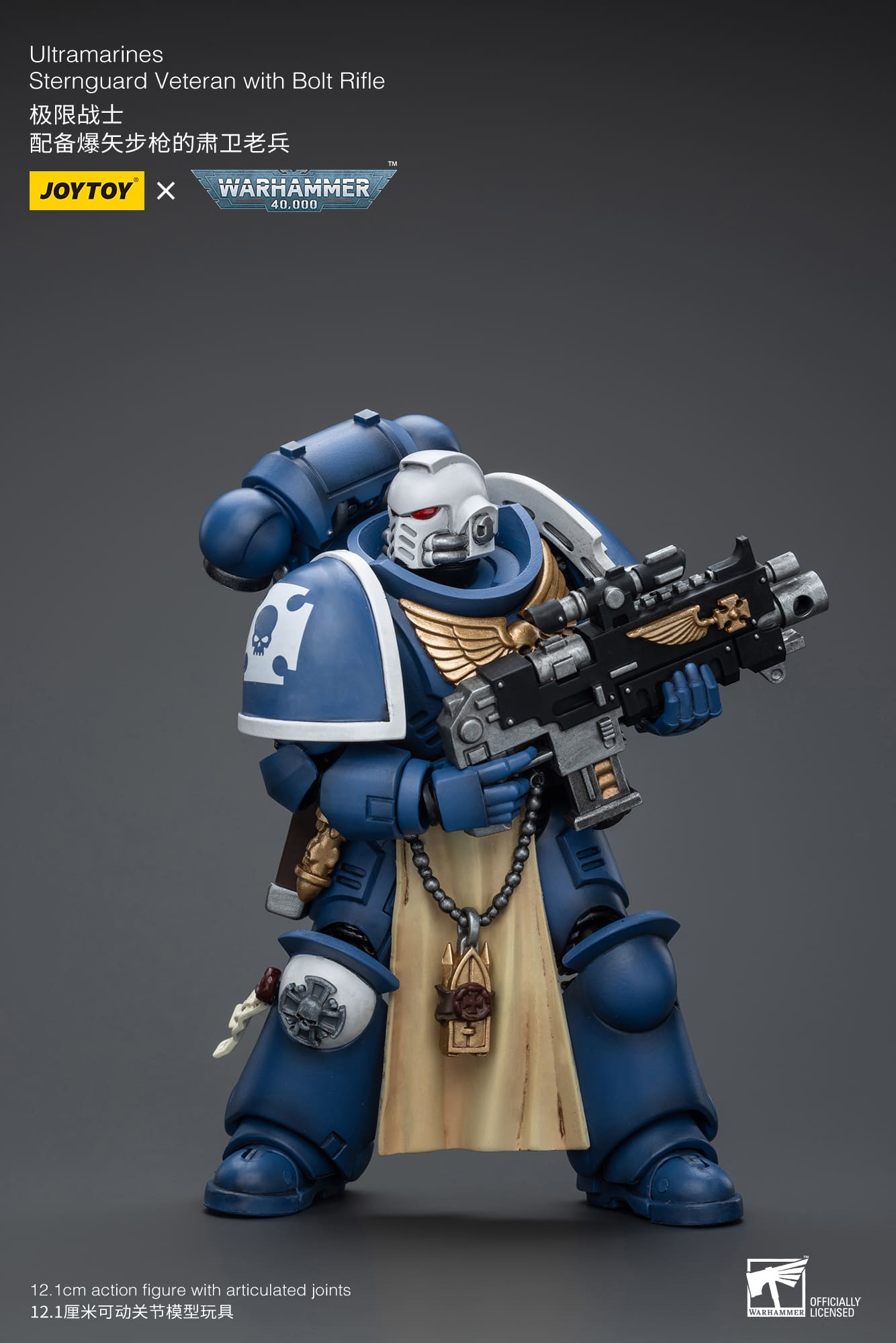 Ultramarines
Sternguard Veteran with Bolt Rifle