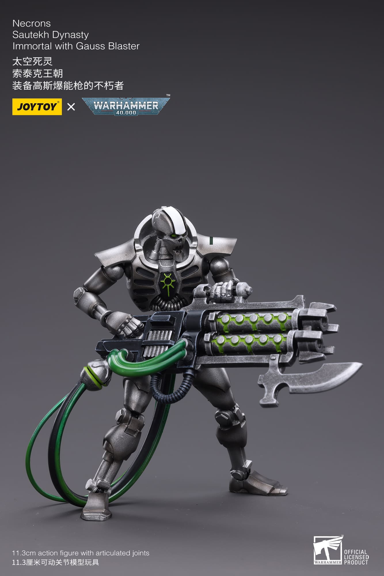 WH40K-Necrons Sautekh Dynasty
Immortal with Gauss Blaster