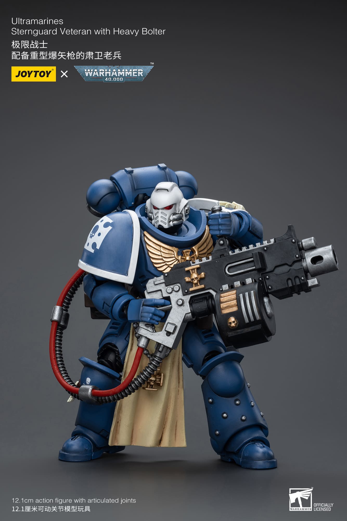 Ultramarines
Sternguard Veteran with Heavy Bolter