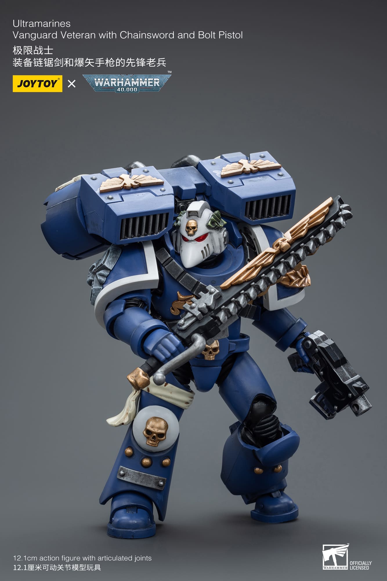 Ultramarines
Vanguard Veteran with Chainsword and Bolt Pistol