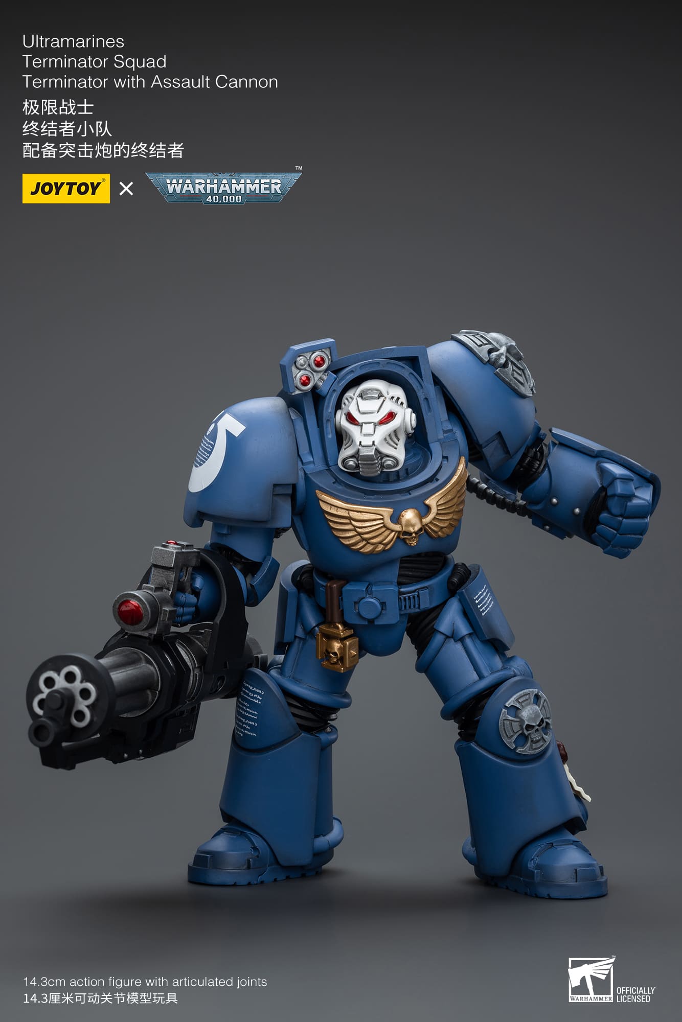 Ultramarines
Terminator Squad
Terminator with Assault Cannon