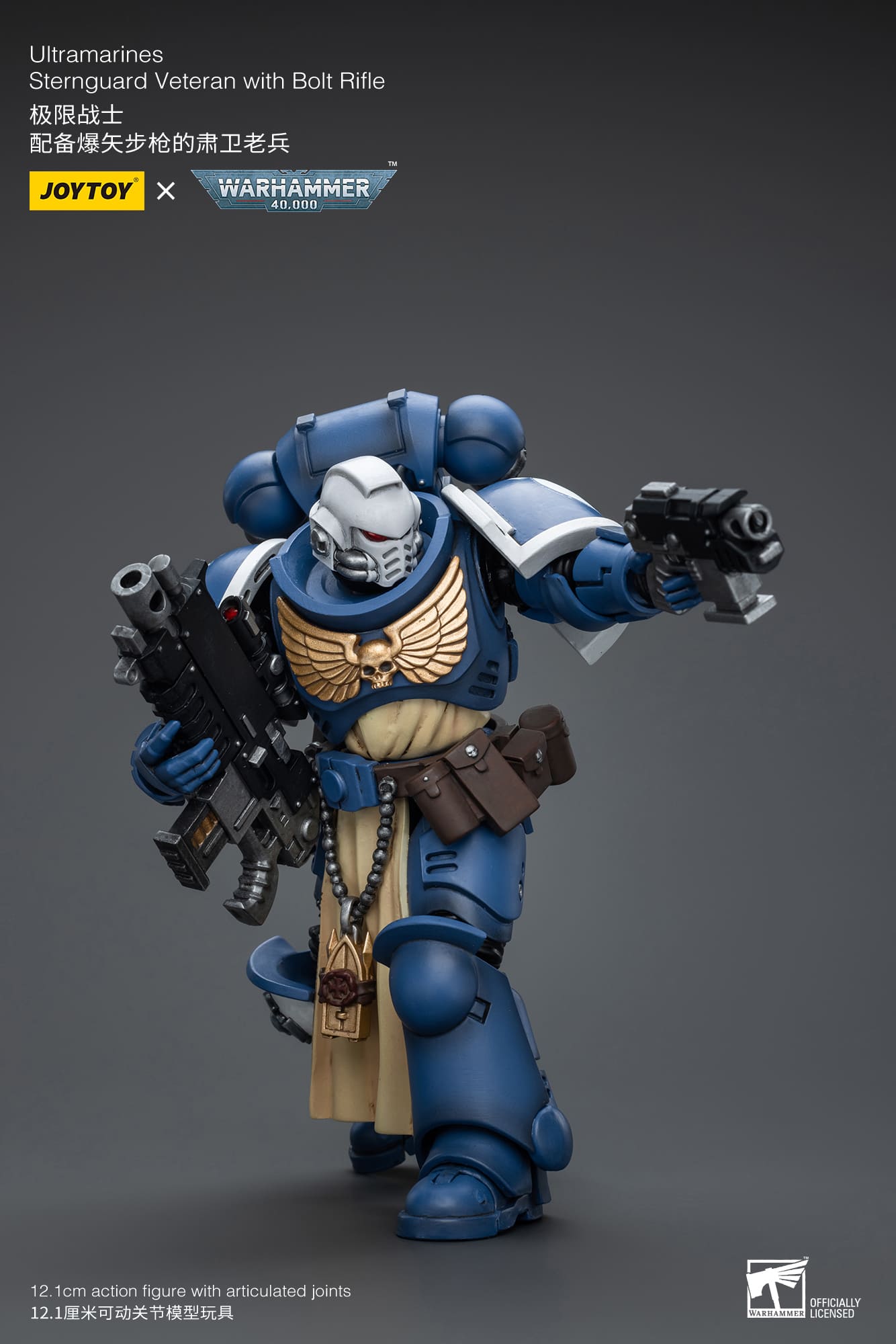 Ultramarines
Sternguard Veteran with Bolt Rifle