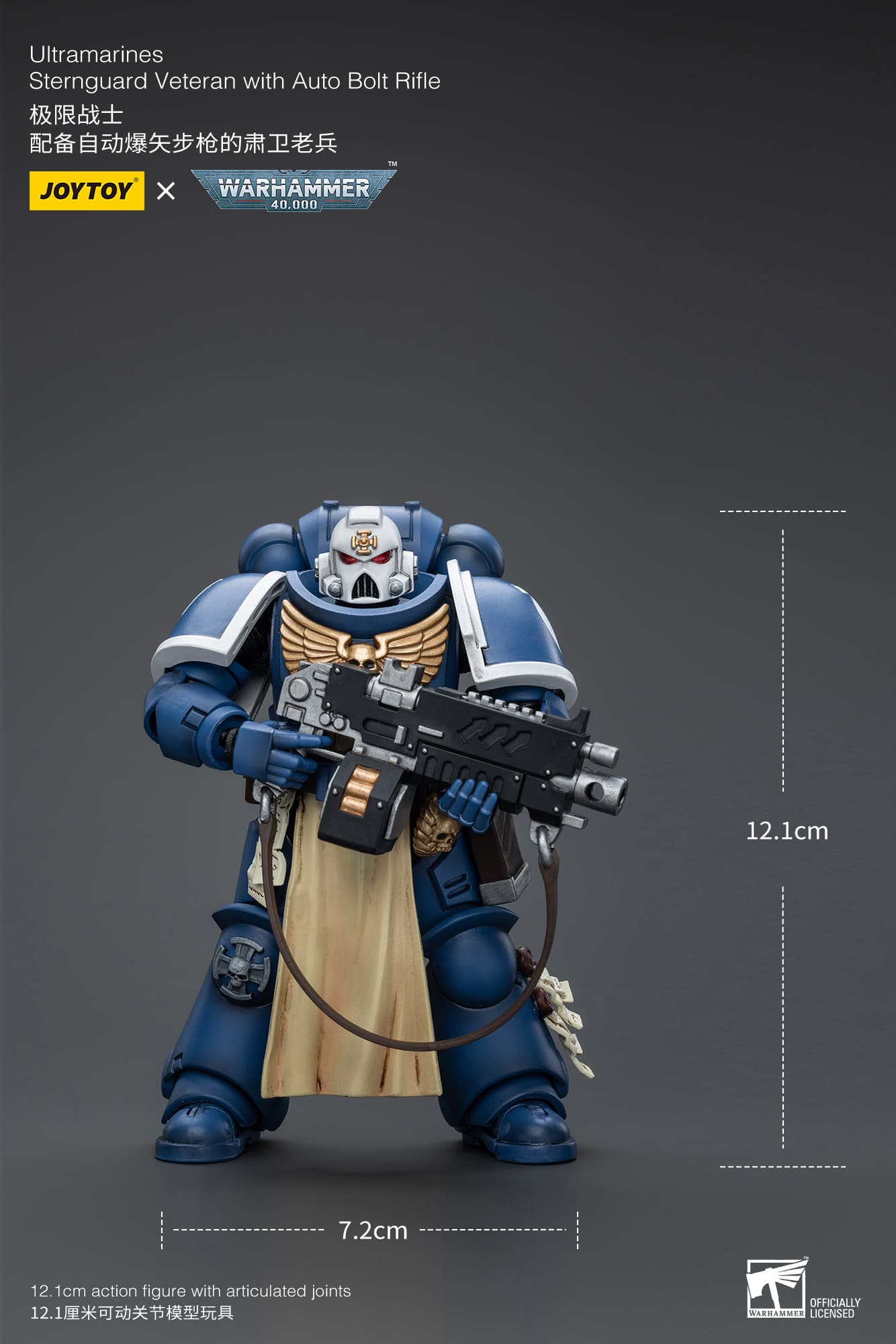 Ultramarines
Sternguard Veteran with Auto Bolt Rifle