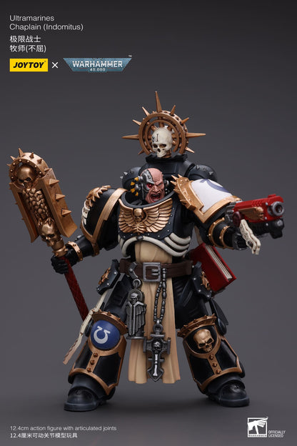 Ultramarines
Chaplain(Indomitus)