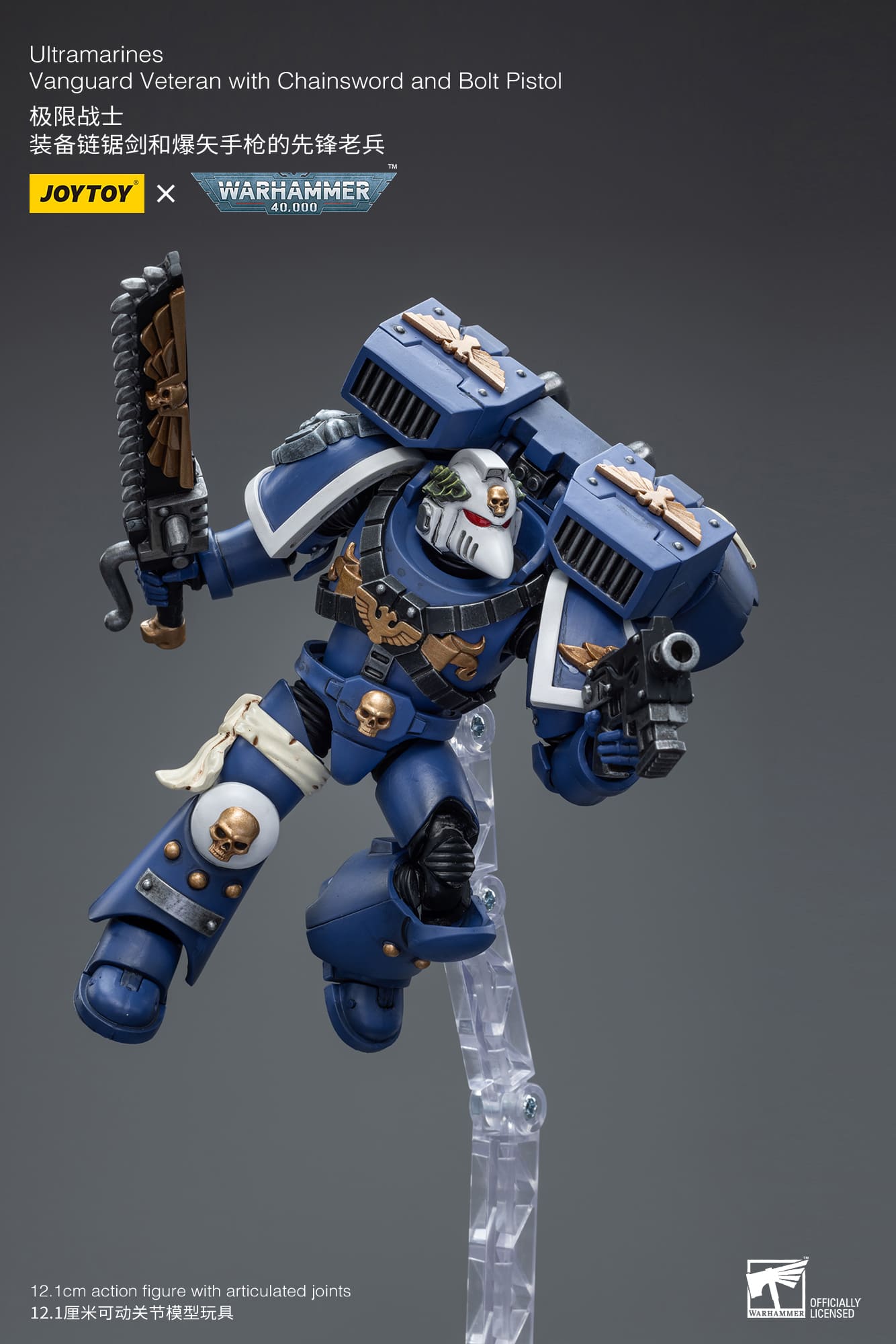 Ultramarines
Vanguard Veteran with Chainsword and Bolt Pistol