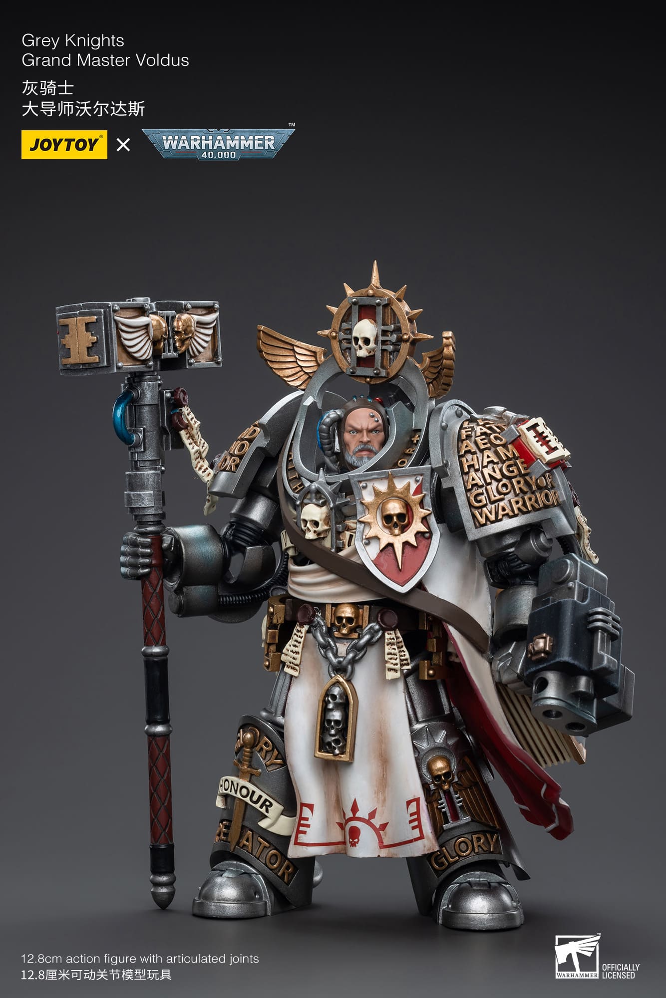 Grey Knights
Grand Master Voldus