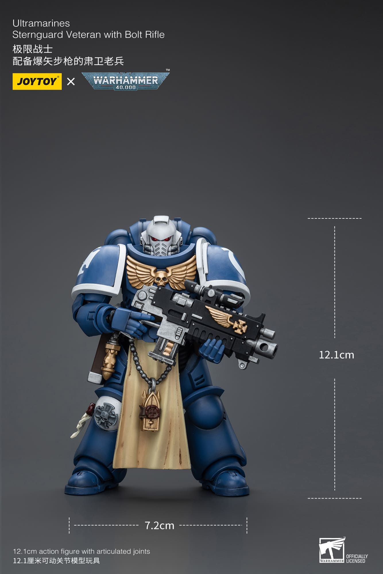 Ultramarines
Sternguard Veteran with Bolt Rifle