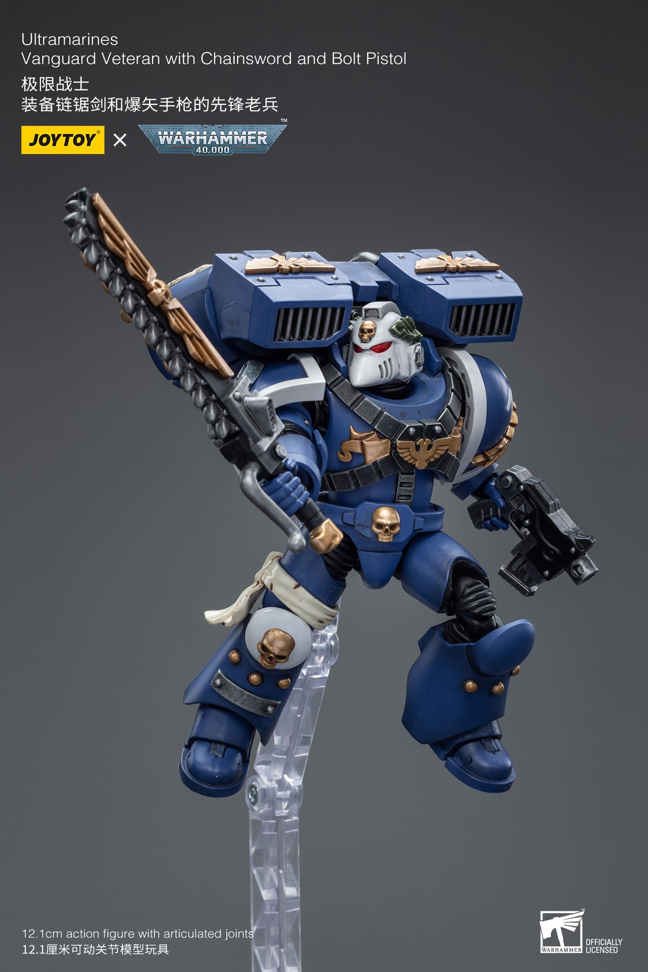 Ultramarines
Vanguard Veteran with Chainsword and Bolt Pistol