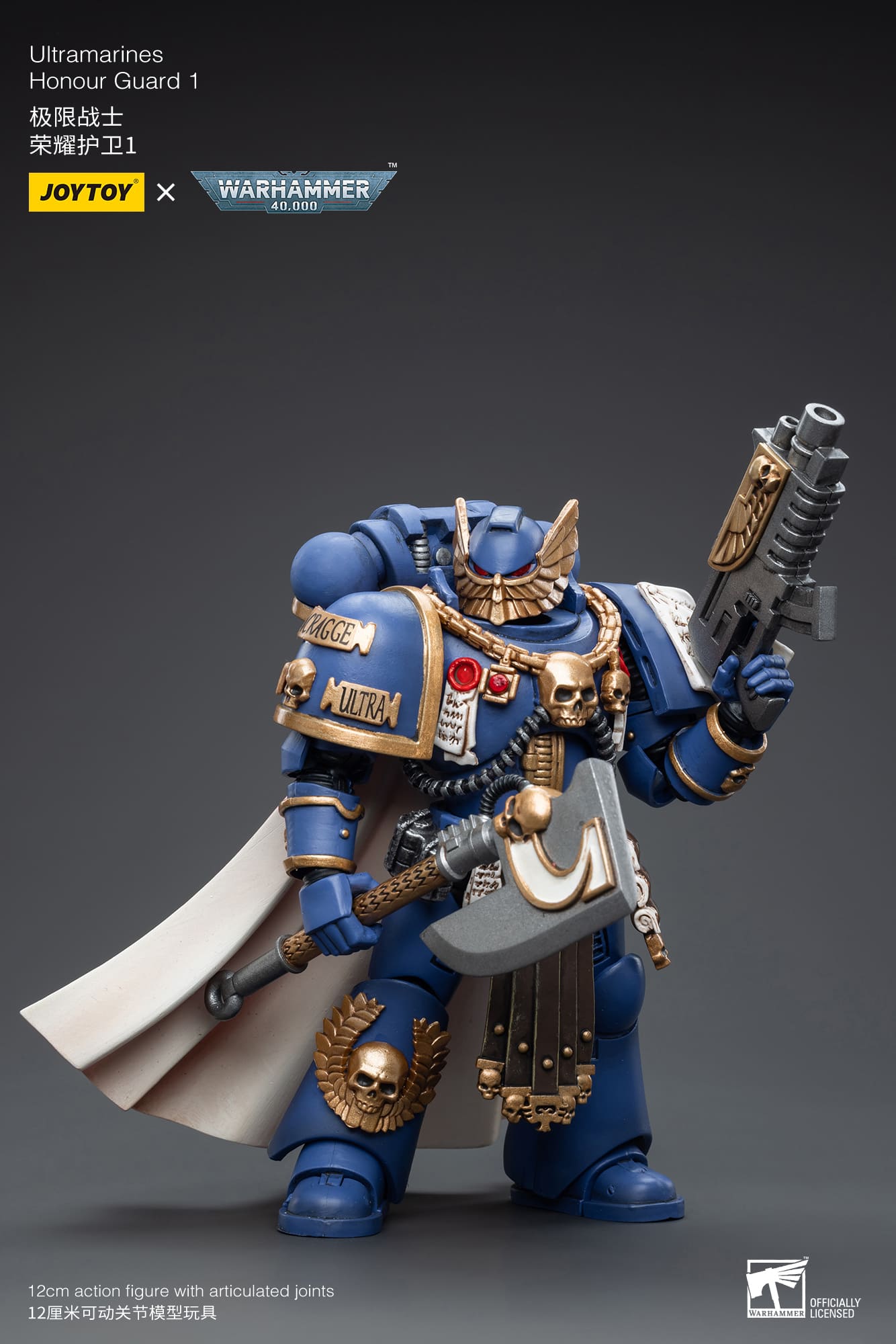 Ultramarines
Honour Guard  1