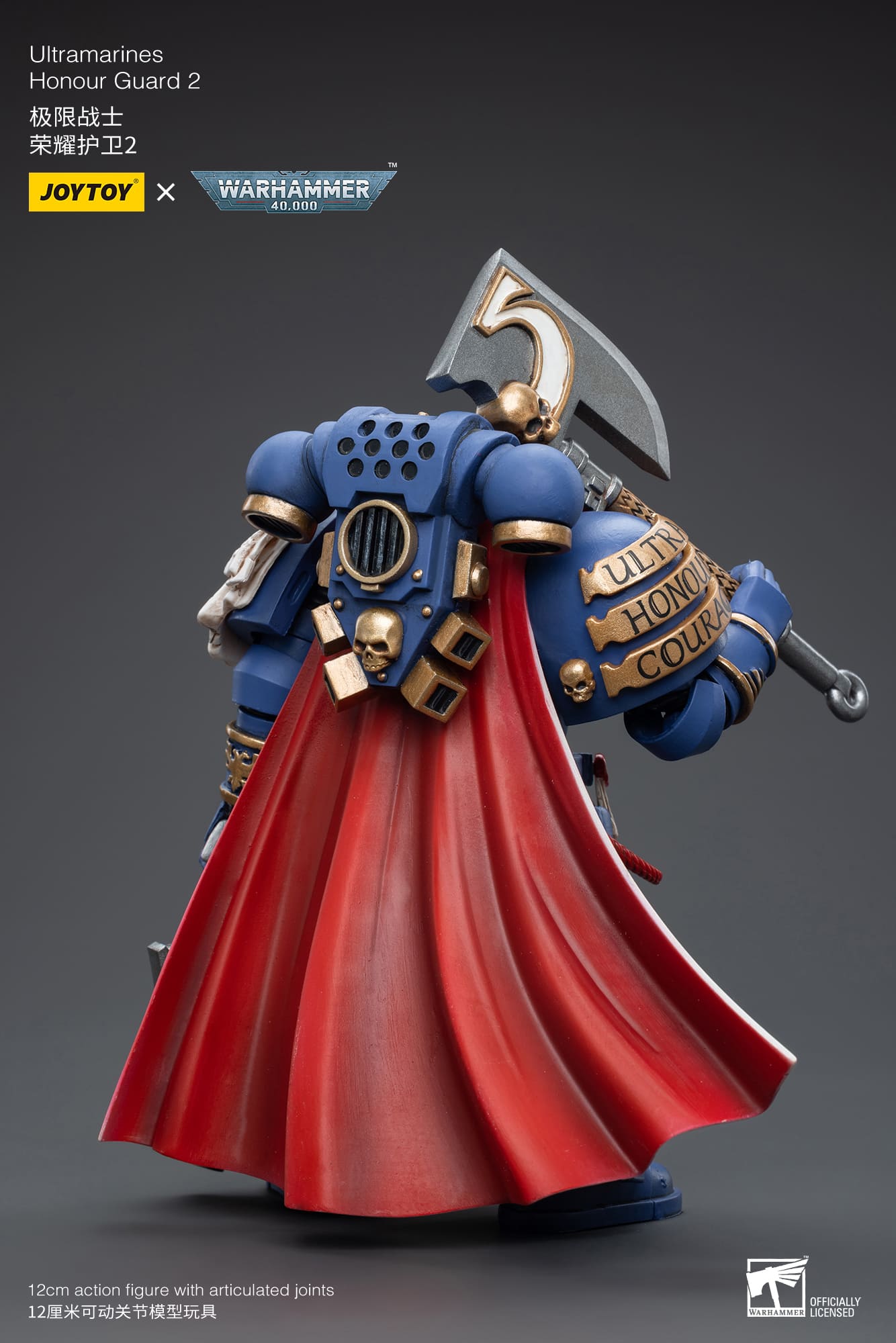 Ultramarines
Honour Guard  2